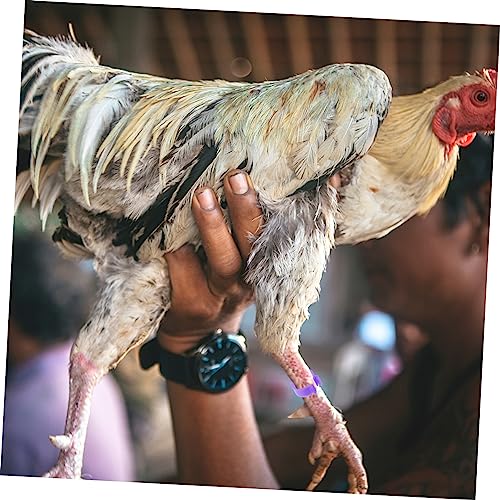 Yardwe 360pcs Chick Identification Rings Poultry Racing Bands Foot Rings for Chicken Poultry Reusable Material Random Color