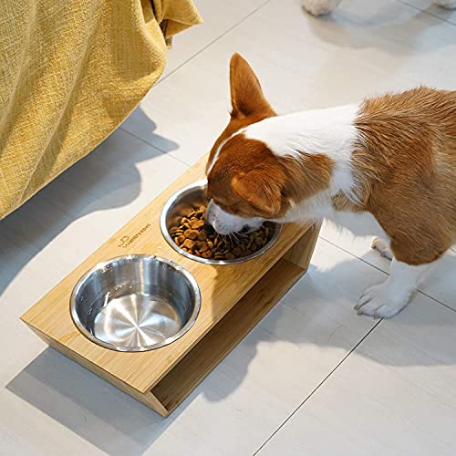 HB 2.5 Cups Stainless Steel Dog and Cat Bowls Small - 6.2" Diameter fits Raised Pet Feeders with Opening 5.4"- 5.8" (2-Pack) - color: Double Pack, size: 2.5 cup (Standard)