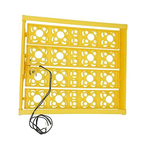 Egg Incubator Tray, Multifunction Automatic Egg Turner Incubator Tray Eggs Automatic Egg Turner Turning Tray for 16 Duck Eggs 16 Eggs 72 Quail Eggs Incubation (AC12V) - size: AC12V