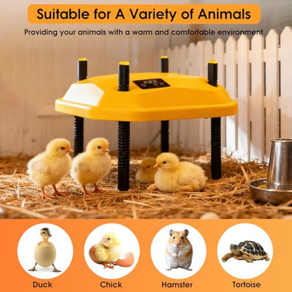 12 * 12inch Chick Brooder Heater Plate with Temperature Adjustable and Display,Adjustable Height & Angle Brooder Box for Baby Chicks Quail Duckling Chicken Heat Warmer Lamp Poultry Habitat Supplies - size: 12.0"L x 12.0"W x 9.0"H