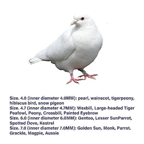 Aluminum Open Bird Rings - Split Leg Rings for Identifying Pigeons, Parrots, Doves - Mixed Colors, 50 PCS Per Pack - size: 4.7
