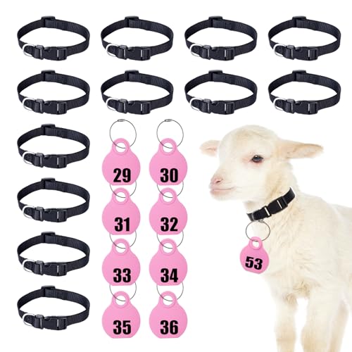 28 Pack Goat Collar with Number Tag Adjustable Nylon Sheep Collar Set Pet Livestock Plastic ID Number Tags Quick-Release Buckle for Small Farm Animal Sheep Calf Goat(Pink,No.29-56) - color: Pink