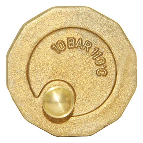 Beduan Brass 10500-VE Automatic Float Valve, 1/8" Male Thread Air Release Valve Air Bleeder Valve Vent Valve - size: 1/8" Male
