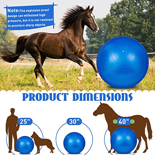 Sotiff 2 Pcs 40 Inch Horse Ball for Play Large Horse Big Equine Herding Anti Burst Dog Ball Soccer Giant, Pump Included(40 Inch,Blue) - color: Blue