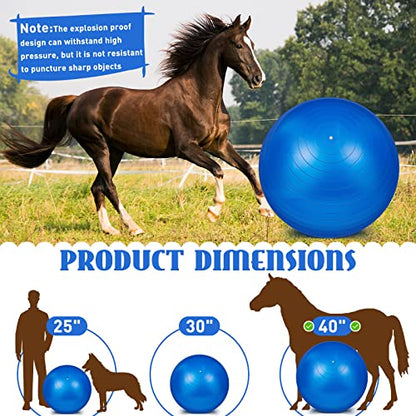 Sotiff 2 Pcs 40 Inch Horse Ball for Play Large Horse Big Equine Herding Anti Burst Dog Ball Soccer Giant, Pump Included(40 Inch,Blue) - color: Blue
