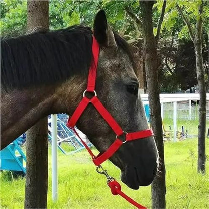 Cattle Halter Horse Equitation Padded Halter Bridle Comfortable Firm and Deformable Rein Equestrian Adjustable Head(Red S) - color: Red S