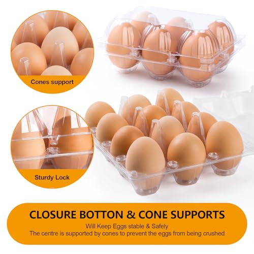 180 Pack Egg Cartons 6 Count, Clear Plastic Egg Cartons Cheap Bulk for Chicken Eggs, Reusable Egg Holder Container for Family, Chicken Farm and Markets, Medium - size: 180P2×3