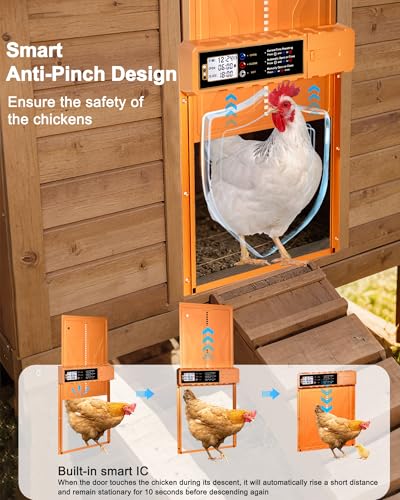 Automatic Chicken Coop Door Solar Powered - Auto Chicken Door 14.3″ x 10.9″ for Large Coop & Run, Anti-Pinch, Orange Aluminum Alloy with Secure Hidden Cable Slot, LCD Timer & Remote Control
