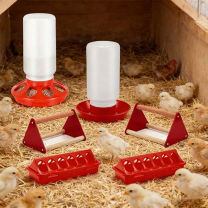 Chicken Feeder and Waterer Set Including Small Perch for Poultry Ducks Quails Pigeons and Birds Chick Starter Set - color: B