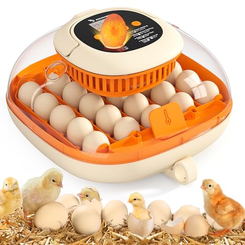 Chickcozy 25 Egg Incubator, Automatic Egg Turner with Thermometer Seat and Humidity Control, Egg Candler, 360° View with Clear Window, Incubators for Hatching Chicks (Sunlit Orange)