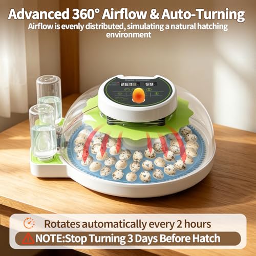 Quail Egg Incubator for Hatching 60 Quail Eggs with Automatic Egg Turning and Humidity Control, Small Quails Brooder Poultry Incubators or Partridge Parrot Pigeon and Other Bird in Home Farm - size: 66 Units