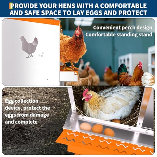10 Compartment Chicken Nesting Box, Galvanized Steel Metal Laying Box with Removable Tray Roll-Out Egg Collection, Wall Mount Hen Roosting Box, Easy Egg Collection - color: Orange, size: 10 holes with legs