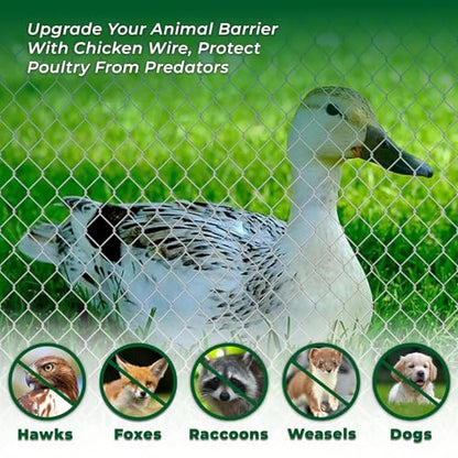 48 in x 150 ft, 2 inch Metal Mesh Pencing, Chicken Wire Fencing, Hexagonal Galvanized Poultry Wire Netting for Chicken, Duck, Goose, Rabbit Fencing - size: 48 in x 150 ft 2 in