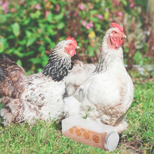 Happyyami Automatic Chicken Feeder Feeding System Rutin Chicken Water Bowl Plastic Box