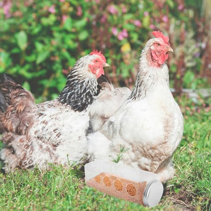 Happyyami Automatic Chicken Feeder Feeding System Rutin Chicken Water Bowl Plastic Box