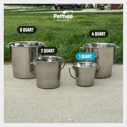 Heavy Duty Stainless Steel Bucket, 1 Quart – Durable Small Metal Bucket for Feeding, Watering Pets & Cleaning – Perfect for Kennels, Critter Crates, Cages and Hanging on Fences - size: 1 Quart