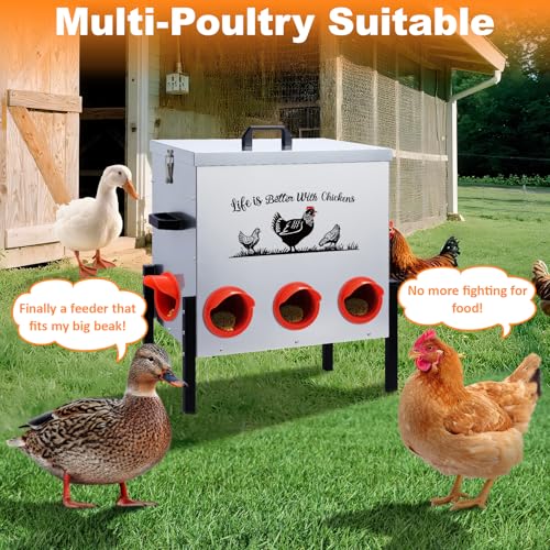 50LB Automatic Chicken Feeder–8 Feeding Ports No-Waste Galvanized Metal Chicken Feeder Box with Adjustable Legs & Locking Lid Poultry Feeder for Chickens,Ducks,Geese,Rust-Resistant - size: 50LB