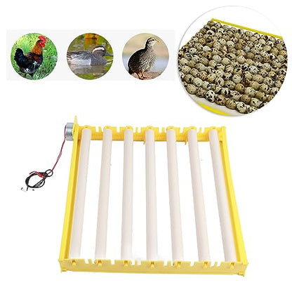 Egg Incubation Tray Automatic Egg Turner with 7 Rollers for Chicken Duck Quail Eggs, Large Capacity 16.9x16.7x2.1 Incubator Accessories for Home Farm Use
