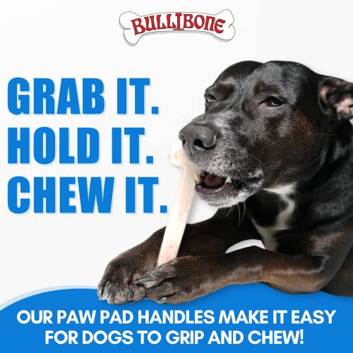 Bullibone Nylon Dog Chew Toy for Aggressive Chewers - Dental Hygiene Bone with Bacon Flavor, Durable Tough Chew Toys for Small Dogs, Indestructible Dog Bone - 3 Pack - size: Small - 3 Pack