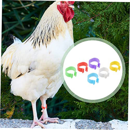 balacoo 360pcs Poultry Identification Multi Foot for Chickens and Geese Easy to Use and Remove Leg Bands for Bird Marking Random Color