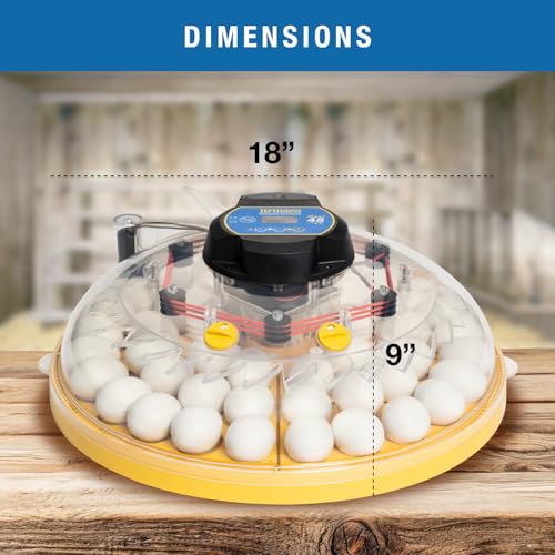 Brinsea Maxi 48 EX Egg Incubator with Automatic Humidity Control and Egg Turning for Hatching 48 Chicken, Duck, or Other Eggs, Optimal Flexibility with Mix & Match Sizes
