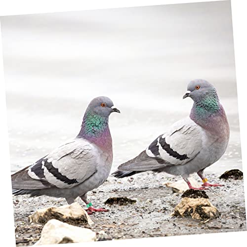 Kisangel 18pcs Multi Aluminum Foot Bands Bird Leg for Identification and Loss Suitable for Pigeons Quails and Poultry Random Color