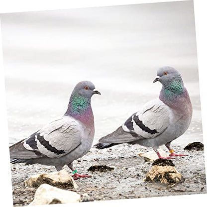 Kisangel 18pcs Multi Aluminum Foot Bands Bird Leg for Identification and Loss Suitable for Pigeons Quails and Poultry Random Color