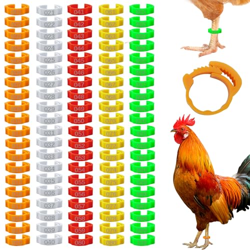 100 Pcs 16mm Chicken Leg Bands Number 01-100, Colorful Chicken Identification Leg Bands, Leg Rings Foot Tags for Chick, Duck Poultry, Goose, Turkey, Guinea, Hens, Pigeon