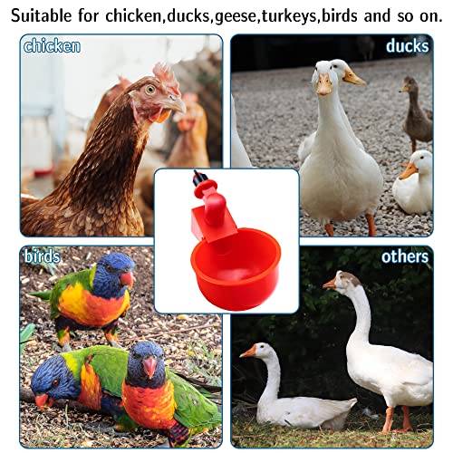 Pack 10 Chicken Waterer Cups, Chicken Feeder Cup for Chicken Duck Turkey Rabbit,3/8 Inch Thread Automatic Filling,Solution for Poultry Watering
