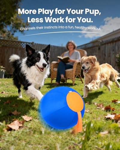 Herding Ball for Dogs