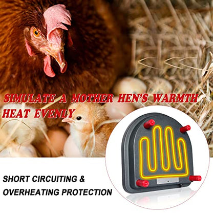 Brooder Heater for Chicks with Comfort Feathers,Chick Duckling Brooder Heating Plate Adjustable Height-Warm Up to 15 Chick,Ducklings(Heating Plate with Feather)