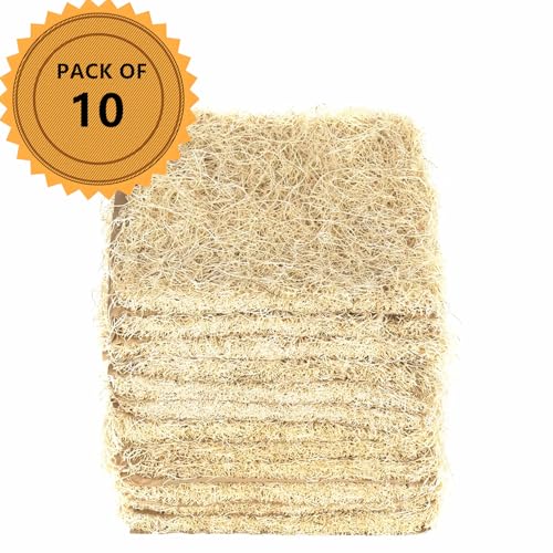Premium Laying Hen Nesting Pads Laying Hen Nest Box Pads Aspen Excelsior Pads Nesting Pads Aspen Bedding s for Chicken Nesting Box and Rabbit Hutch 13" x 13" (12)