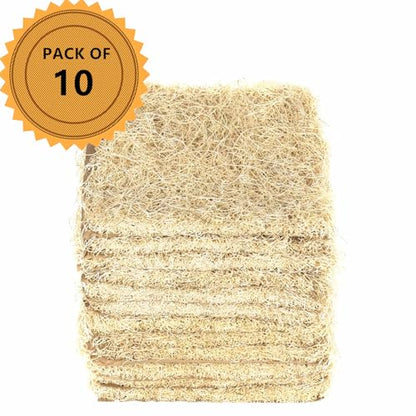 Premium Laying Hen Nesting Pads Laying Hen Nest Box Pads Aspen Excelsior Pads Nesting Pads Aspen Bedding s for Chicken Nesting Box and Rabbit Hutch 13" x 13" (12)