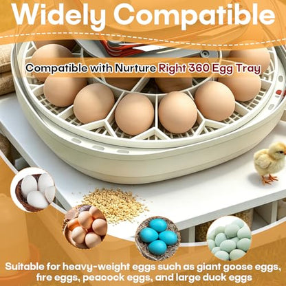 JGT360 Large Goose Egg Turner Tray Compatible with Nurture Right 360 Incubator Parts, Holds 10 Jumbo Goose Eggs, Heavy Breed Compatible Egg Incubator Tray for Large and Heavy Eggs (White)