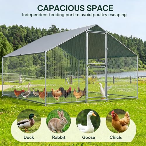 Large Metal Chicken Coop with Run, Walkin Poultry Cage for 10 Chickens with Full-coverage PE Roof, Waterproof & Anti-UV Cover, Double Lockable Doors, Outdoor Hen/Duck/Rabbit House (9.8 x 6.6 x 6.6 FT) - size: 118.1"L x 78.7"W x 78.7"H