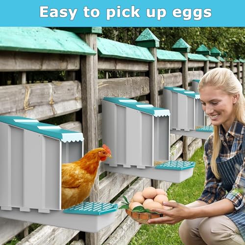 Chicken Nesting Boxes, 1 Hole Laying Boxes,1 Nest Mat, Plastic Roll Away Chicken Nest Box, Egg Roll Out with Perch Eggs Protected Collection Area, Poultry Modular House Egg Coop Nest Perch - size: 19.9"L x 12.0"W x 5.9"H