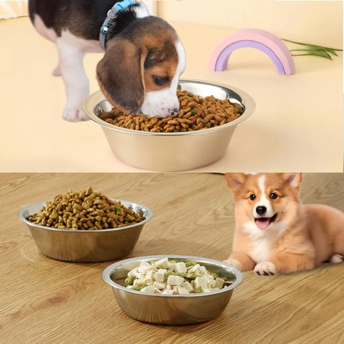 kathson 2 Pack Stainless Steel Dog Bowls, Dog Water and Food Bowl Set, Metal Puppy Bowls, Pet Dishes for Small Dogs and Cats - color: Silver, size: 2cups