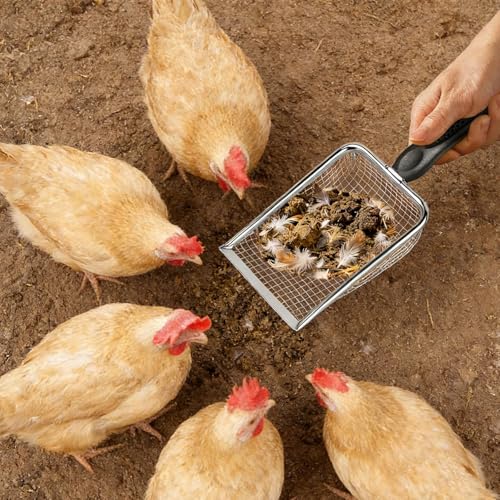of 2 Stainless Steel Poultry Manures Scoops Ergonomic Handle for Quick Coops Maintenance Livestock Shovel