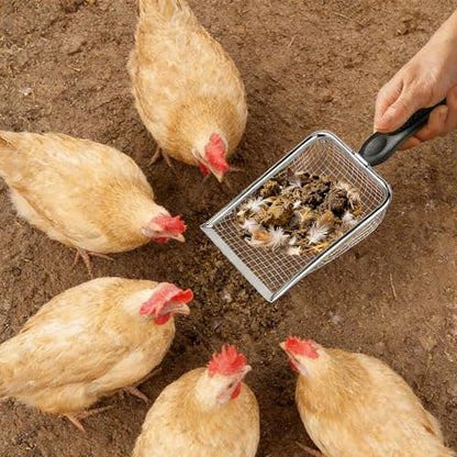of 2 Metal Chicken Coops Shovel Stainless Steel Tool Poop Sifter for Efficient Manures and Waste Removal Manures Shovel