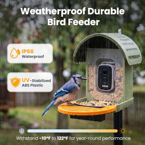 Smart Bird Feeder with Camera, Green | 2.5K UHD, AI Identifies 11,000+ Bird Species, Real-time Videos & Pictures, Solar Powered, Wireless for Outdoor, Gift - color: Green