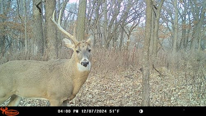 Wildgame Innovations Insite-V Cellular Trail Camera 32 MP, 80ft Detection - size: Single