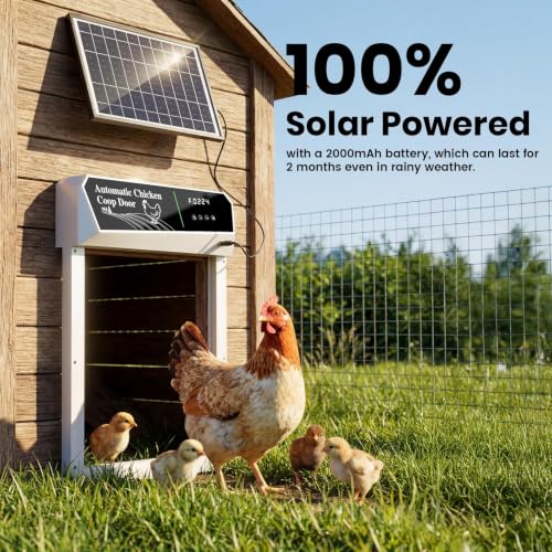 Automatic Chicken Coop Door Solar Powered, Roll-Up Auto Chicken Door Opener with Light Sensor, Timer & Remote Control, Large Opening, Anti-Pinch Safety, Aluminum Weatherproof for Chickens & Ducks