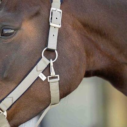 Equinavia Saga Fleece Padded Breakaway Halter - Light Olive/Black - Pony - color: Light Olive/Black, size: Pony