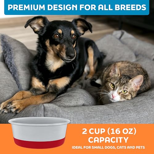 Master Pet Supply Stainless Steel Dog Bowls Set of 2 with Extra Thick Silicone Base - 2 Cup (16 oz) Crimson Red, Non-Slip, Dishwasher Safe Metal Bowls, Pet Dog Food Bowl for Dogs, Cats, Anti Rust - color: Crimson Red, size: 2 Cups (16 oz) 2 Pack