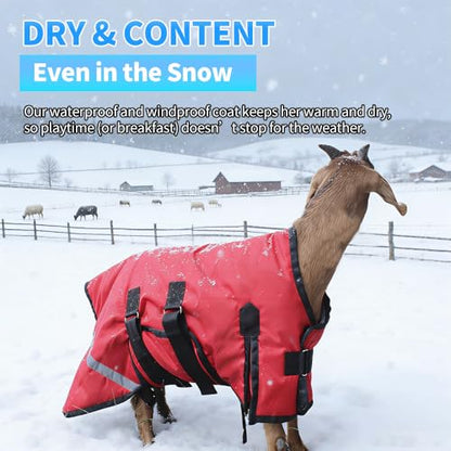 Winter Goat Blanket with Adjustable Belly Wrap for Teenage Lambs (4-8 Months), Adult Goats, Sheep, Medium/Large Breed Dogs, Calves & Mini Pigs, 1680D Water Resistant, 150g 【25.5” Back】 - color: Red, size: Small