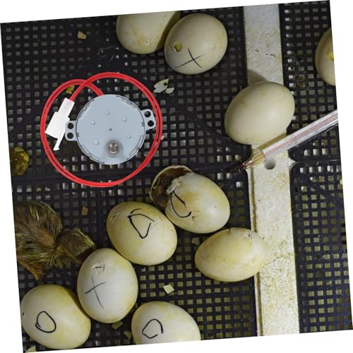 Happyyami 110v Incubator Motor Egg Turner Motor Part for Chicken Incubator Easy Install