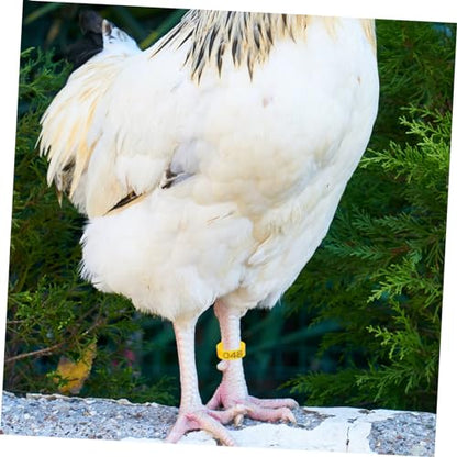 50Pcs Poultry Feet Rings Chicken Identification Leg Bands Lightweight Clip Chick Leg Rings for Poultry Marking for Easy Identification