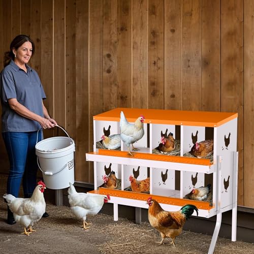 8 Compartment Chicken Nesting Box, Galvanized Steel Metal Laying Box with Removable Tray Roll-Out Egg Collection, Wall Mount Hen Roosting Box, Easy Egg Collection - color: Orange, size: 8 holes with legs