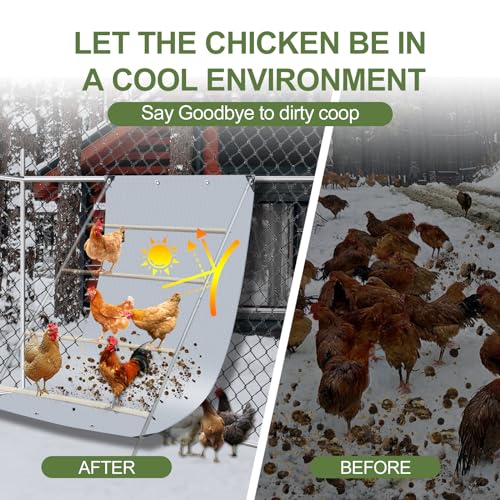 Chicken Coop Poop Hammock Waterproof and UV with 8pcs Ball Bungees Cords, 6.5 * 4 FT Poop Deck for Chicken Roosting Perch to Catch the Chicken Poop, Chicken Coop Tarp for Poultry（Not Include Perch