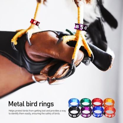Toddmomy 50 Pcs Multicolor Aluminum Bird Leg Bands Closed Rings for Pigeons Chickens Parrots Small Birds Identification 0.31 Inch